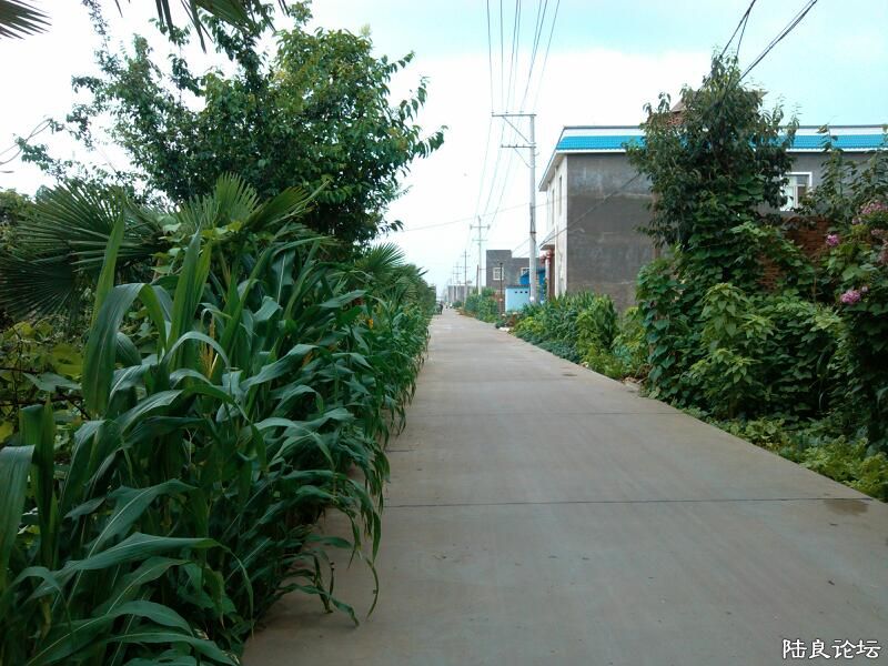 ���ļ�¼��-�ġ���·-ϣ��-ǰ;