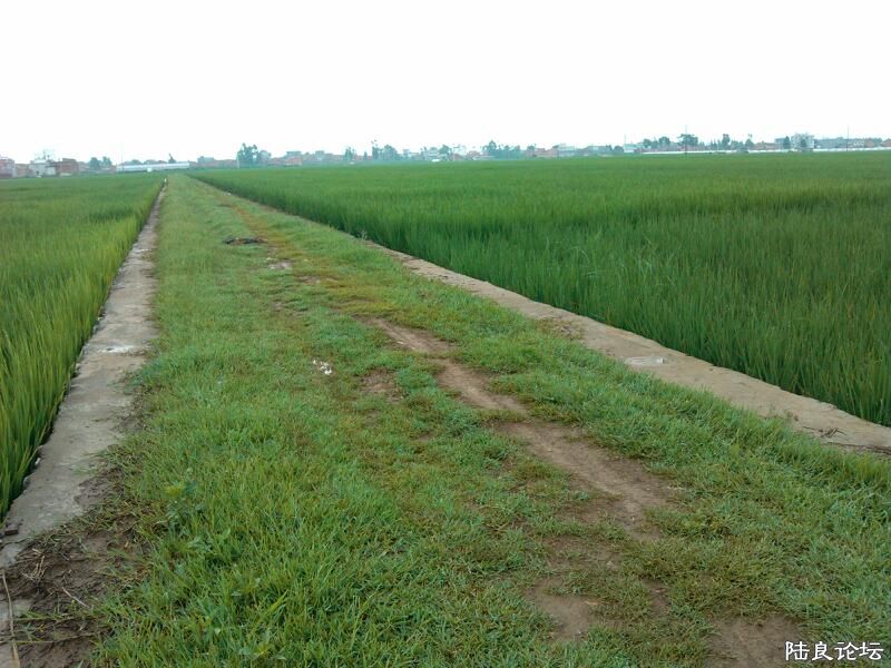 ���ļ�¼��-�ġ����/����-�����߹�������·��