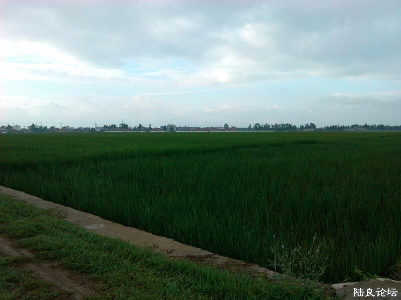 ���ļ�¼��-�ġ����ᵽ�˵�������㣬�ڹ�ҵ�;��