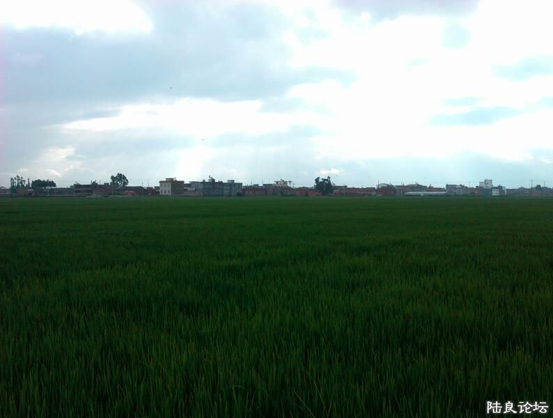 ���ļ�¼��-�ġ���ϲ����������Ұ����ϲ����������ɫ��