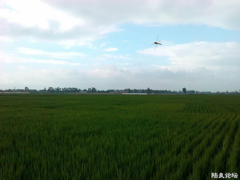 ���ļ�¼��-�ġ���������ѣ���ʵ������Сʱ������˶���ֻ�������걾