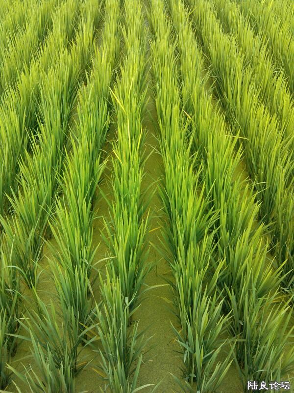 ���ļ�¼��-�ġ���ˬ�ĸо�