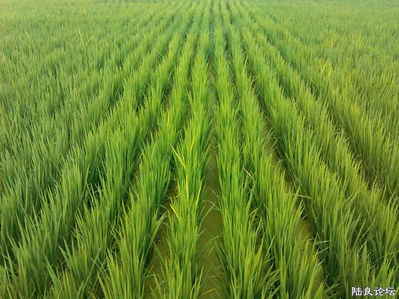 ���ļ�¼��-�ġ���ˬ�ĸо�2