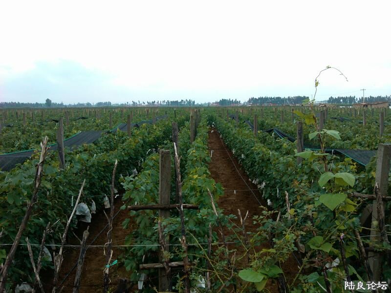 ���ļ�¼��-�ġ���԰����