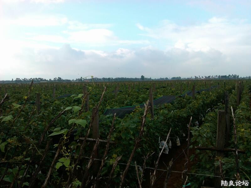 ���ļ�¼��-�ġ�����/������