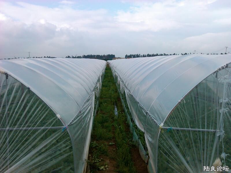 ���ļ�¼��-�ġ���Ұ��⣬���������ý���ʧ�ڴ�2��