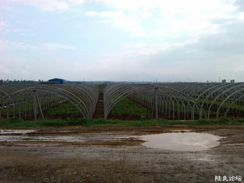 ���ļ�¼��-�ġ��޴��ľ�����/���Ĵ�����