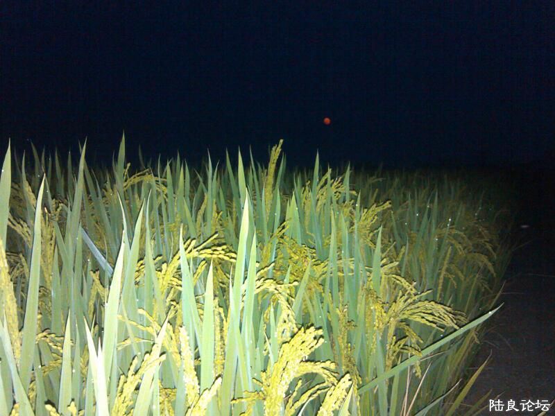 ���ļ�¼��-������Ļ�