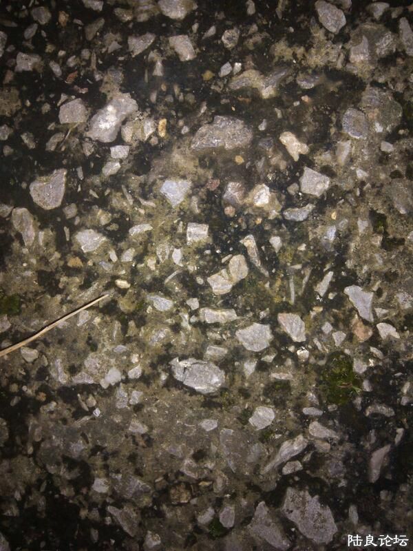 ���ļ�¼��-������紵��ɹ������¶�����ˮ�๡