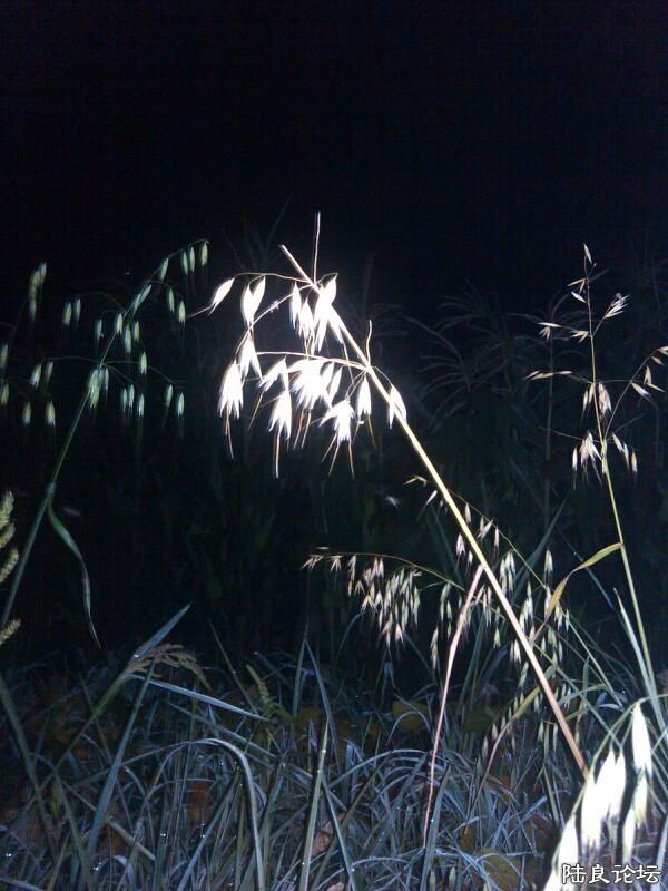 ���ļ�¼��-�Ұ����