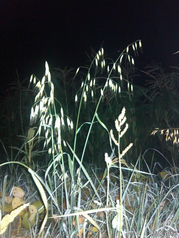 ���ļ�¼��-��ƶ���������ҿ�