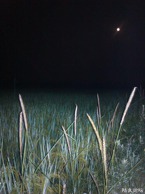 ���ļ�¼��-��������ճ�������������