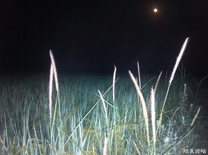 ���ļ�¼��-���ǰ-���