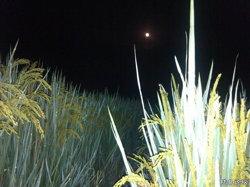 ���ļ�¼��-���Ҳ��һ������