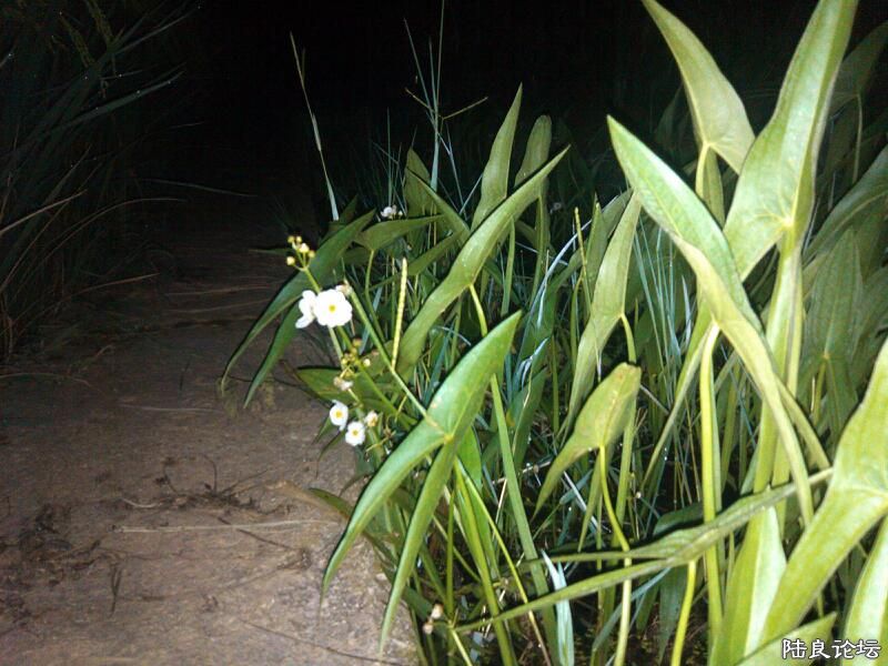 ���ļ�¼��-�Ұ���Ե�����