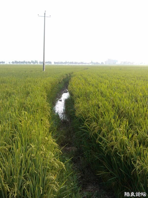 ���ļ�¼��-������м��ǵ�·