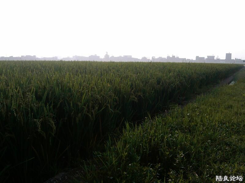 ���ļ�¼��-��ж��ٸ��������糿������