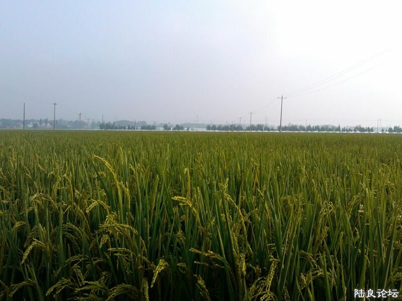 ���ļ�¼��-��������