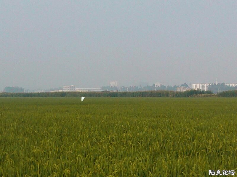 ���ļ�¼��-�Զ���İ���