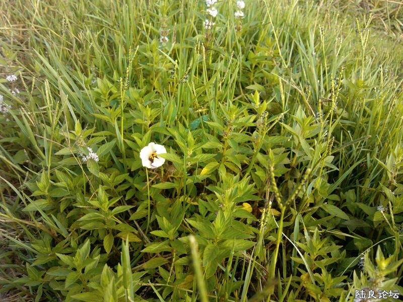 ���ļ�¼��-�����ʲô���ҽ�ʲô��