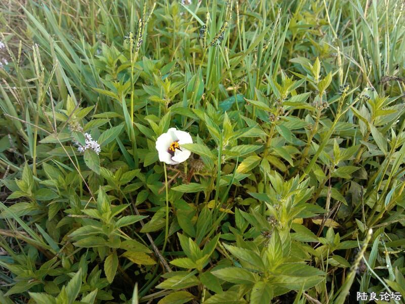 ���ļ�¼��-��������Ļ����Թ����Ĺ���������ļ��䡣