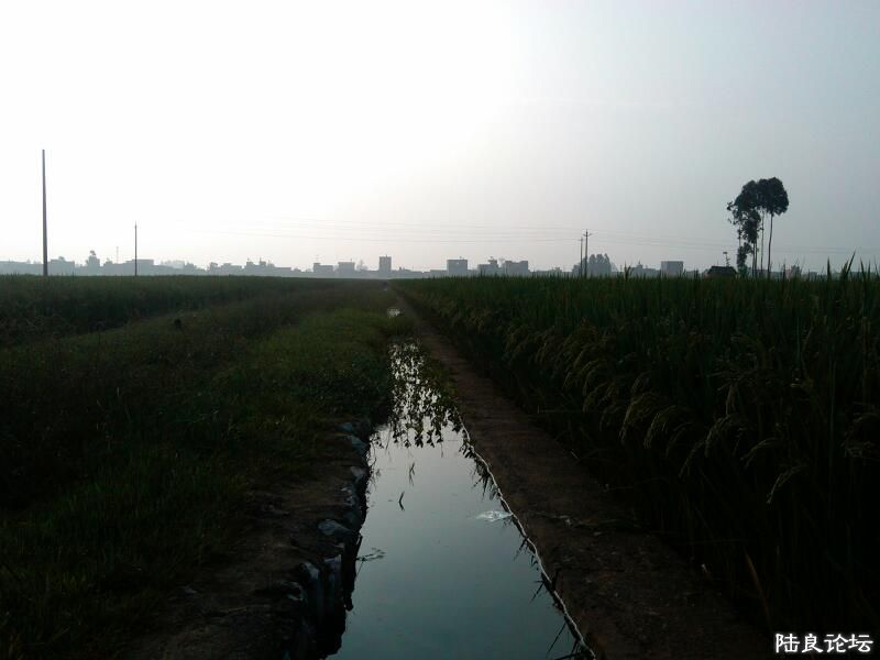 ���ļ�¼��-���ˮ��ȣ������Ĺ���