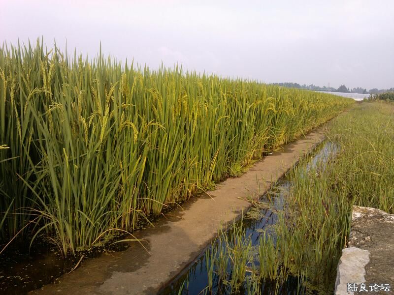 ���ļ�¼��-�Сʱ������游������ĸ�������Ĺ������㣬��ô����