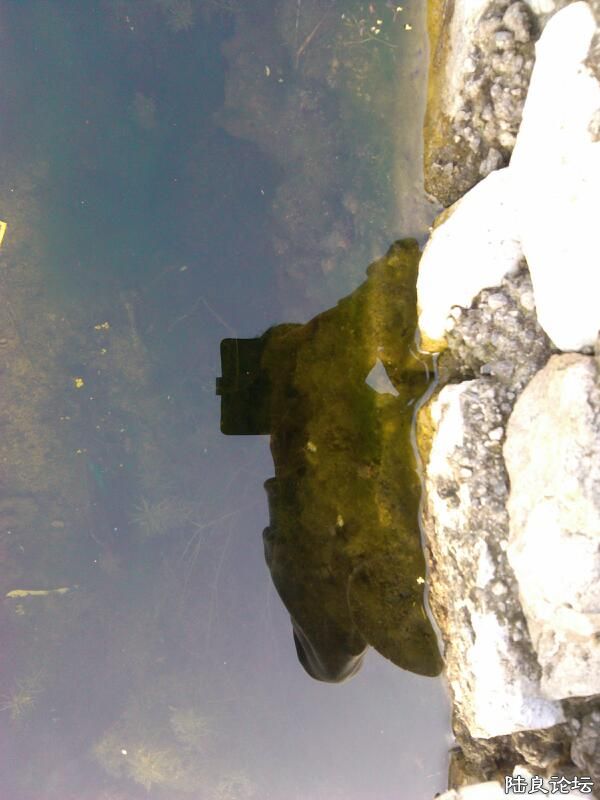 ���ļ�¼��-���ӳˮ��