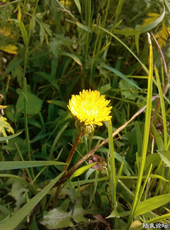 ���ļ�¼��-����-·��-����