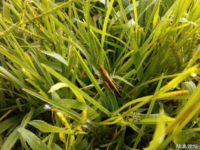 ���ļ�¼��-��ݴ��е�С����