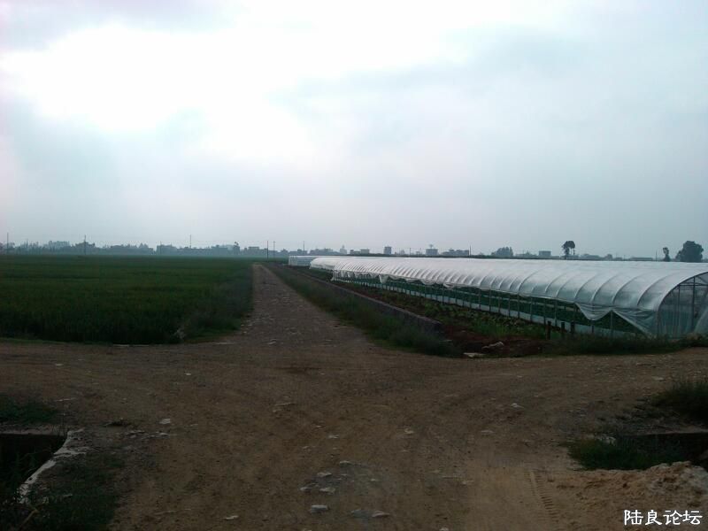 ���ļ�¼��-��ҿ�������̬ʧ��