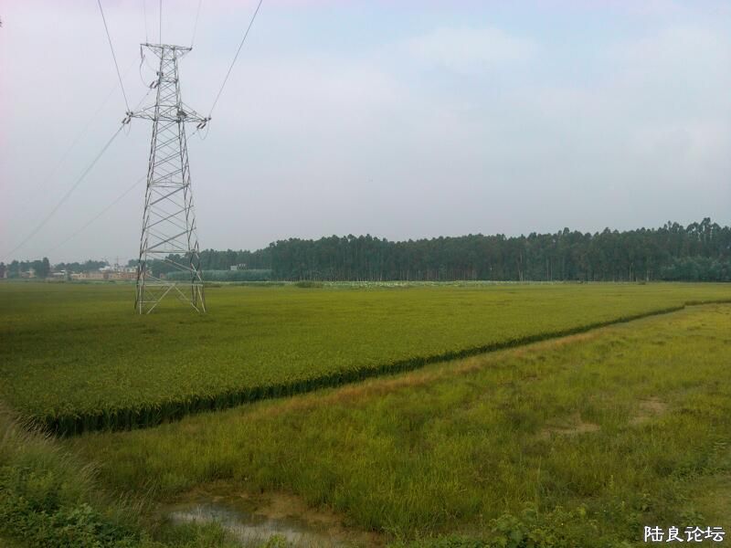 ���ļ�¼��-�����ͷ