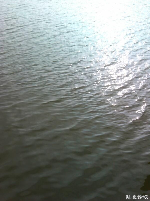 ���ļ�¼��-����̽�ˮ