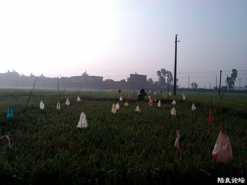 ���ļ�¼��-�����������������פ��������