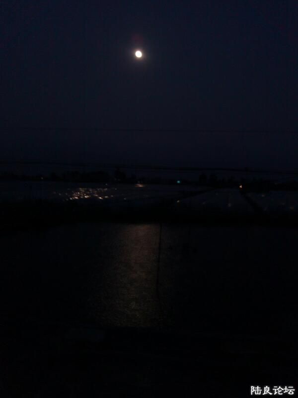 ���ļ�¼��-�����ҹ