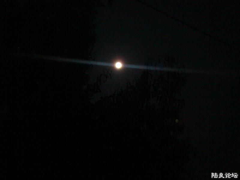 ���ļ�¼��-�����