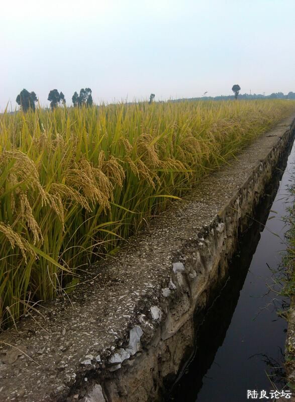 ���ļ�¼��-��������