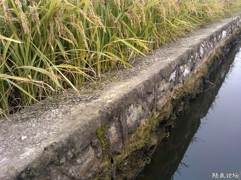 ���ļ�¼��-������һ�£��Ҿ����������