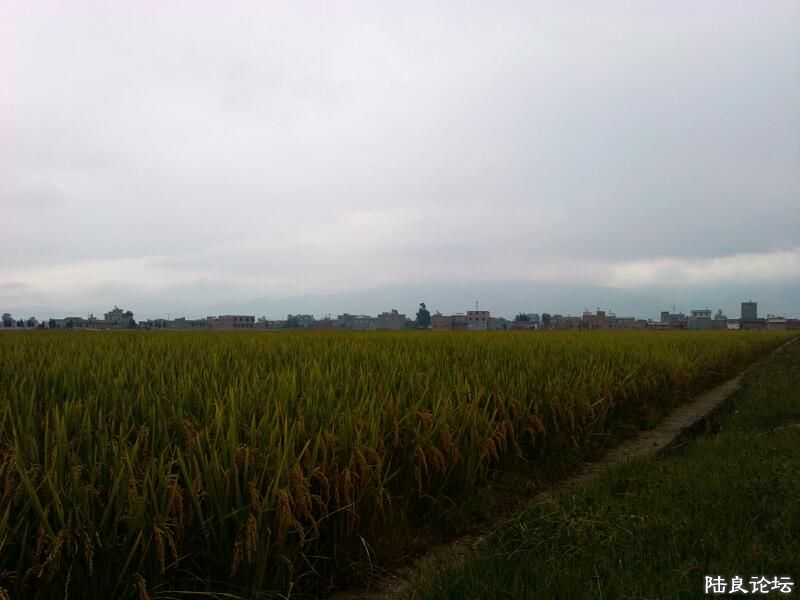 ���ļ�¼��-���Ƭ��Ƭ