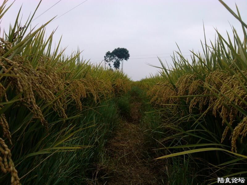 ���ļ�¼��-����ǵ����������