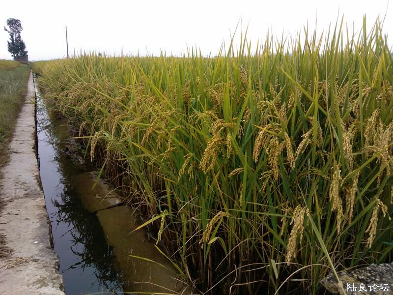 ���ļ�¼��-������ˣ�������...