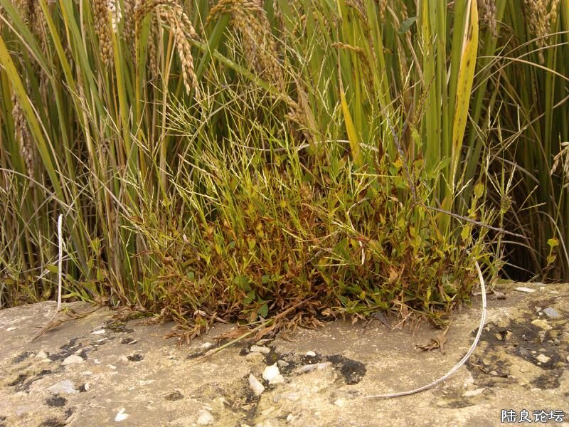 ���ļ�¼��-�Ұ�ݵ�����������