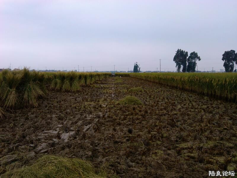 ���ļ�¼��-��ջ�Ĳ���