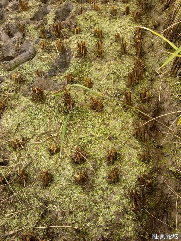 ���ļ�¼��-�����-��Ƽ