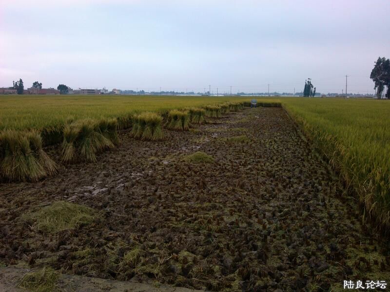 ���ļ�¼��-�������ջ�