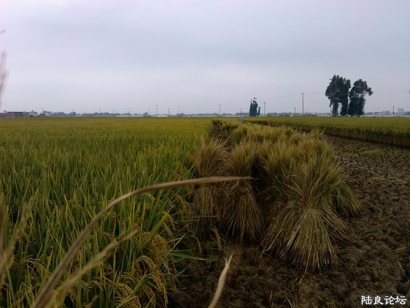 ���ļ�¼��-����