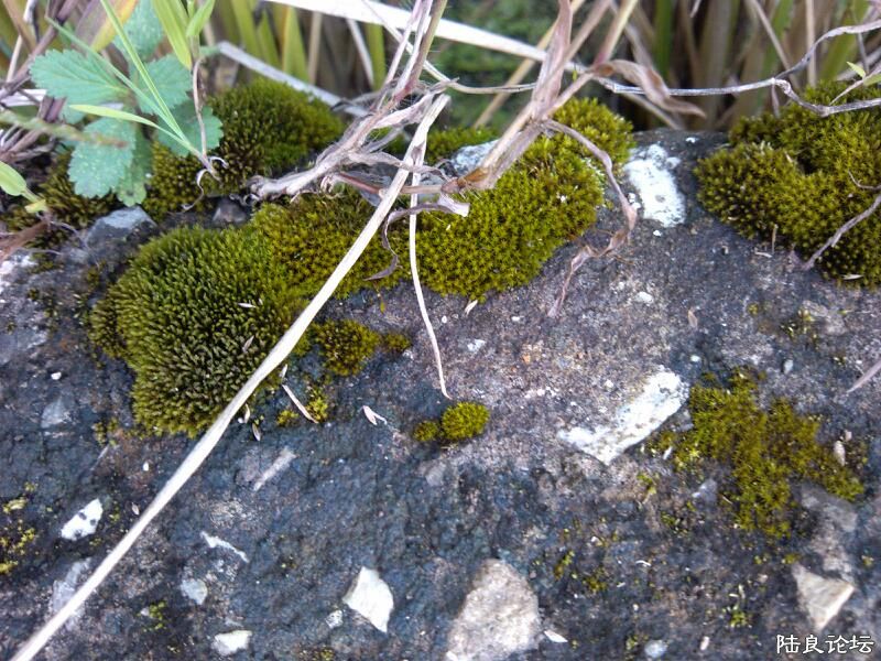 ���ļ�¼��-�����ֲ��-����Ҳ���㿴��������