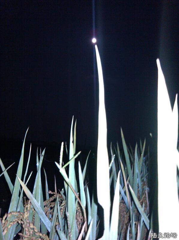 ���ļ�¼��-���-ҹ-��-��