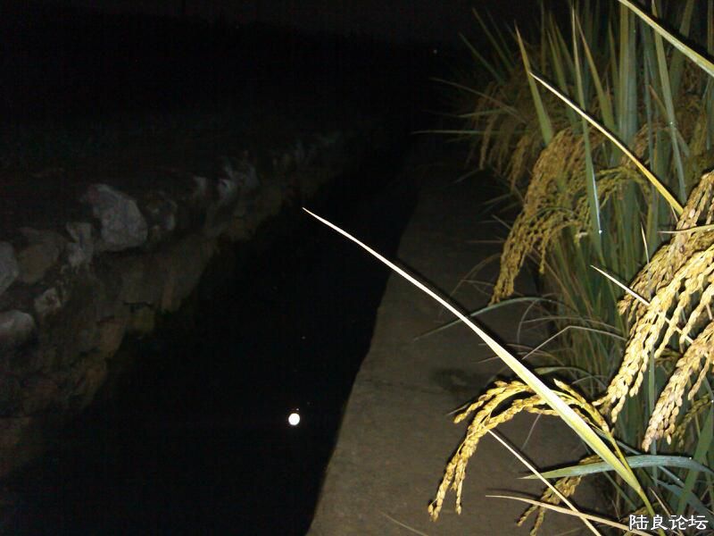 ���ļ�¼��-�ˮ�е�ӰҲ����