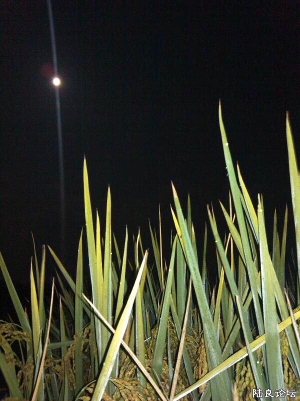 ���ļ�¼��-���������������